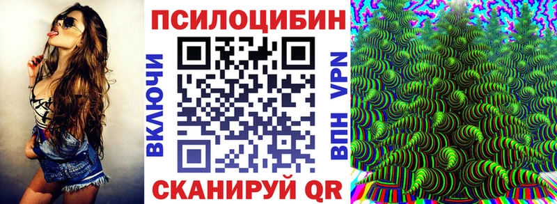 Галлюциногенные грибы Psilocybine cubensis  Артём 